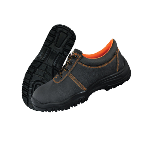 shoe_img2